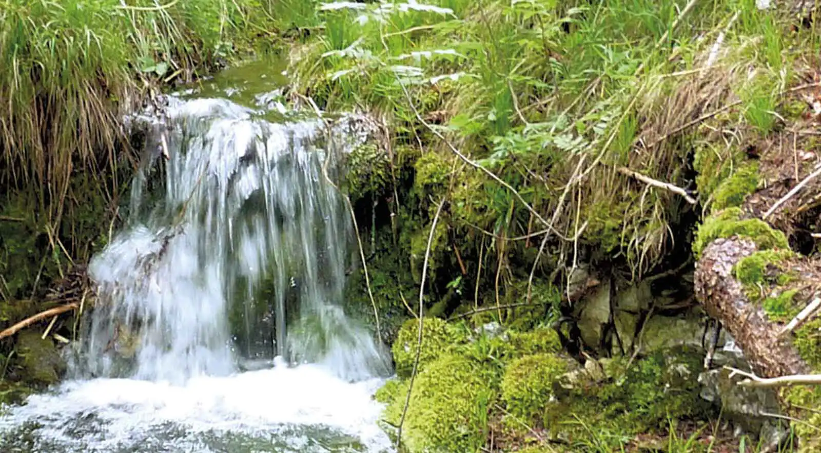 Bachlauf mit kleinem Wasserfall