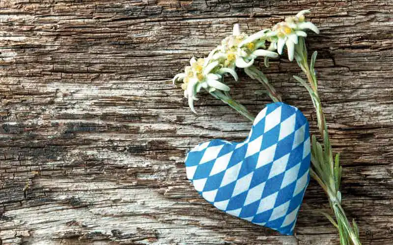 Herz mit Edelweiss Blumen