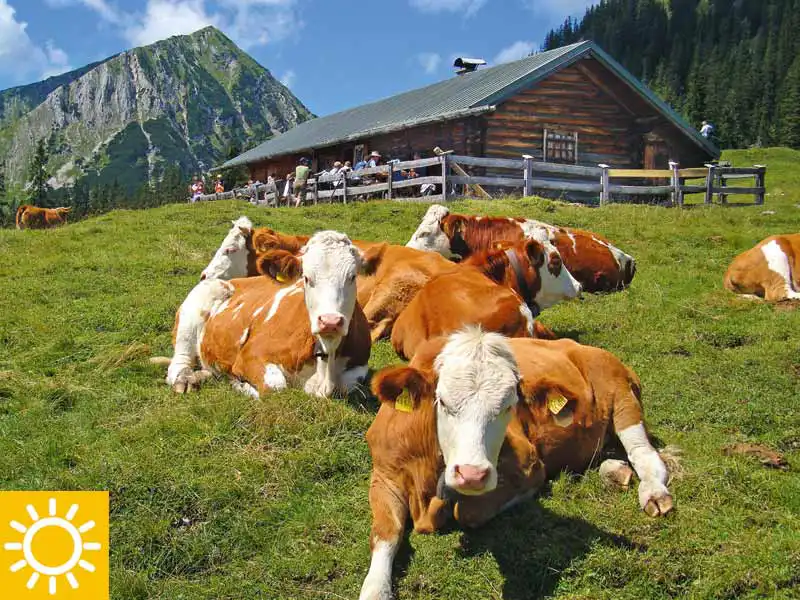 Ansicht Krüner Alm Hütte Krüner 621 m