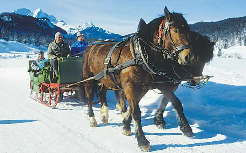 Schlittenkutschfahrt