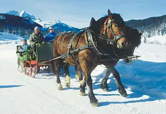 Kutschfahrten im Winter
