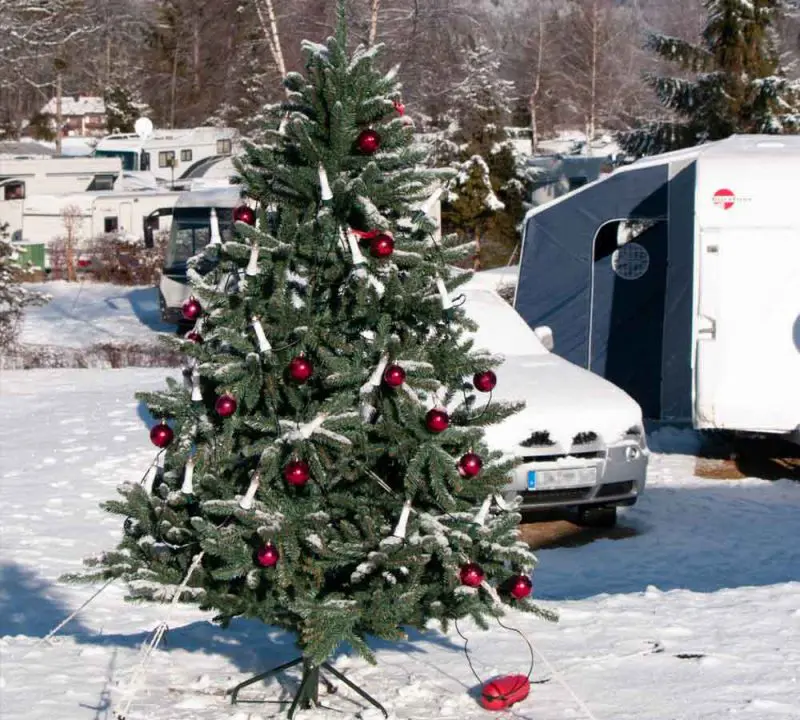 Christmas tree at the campsite