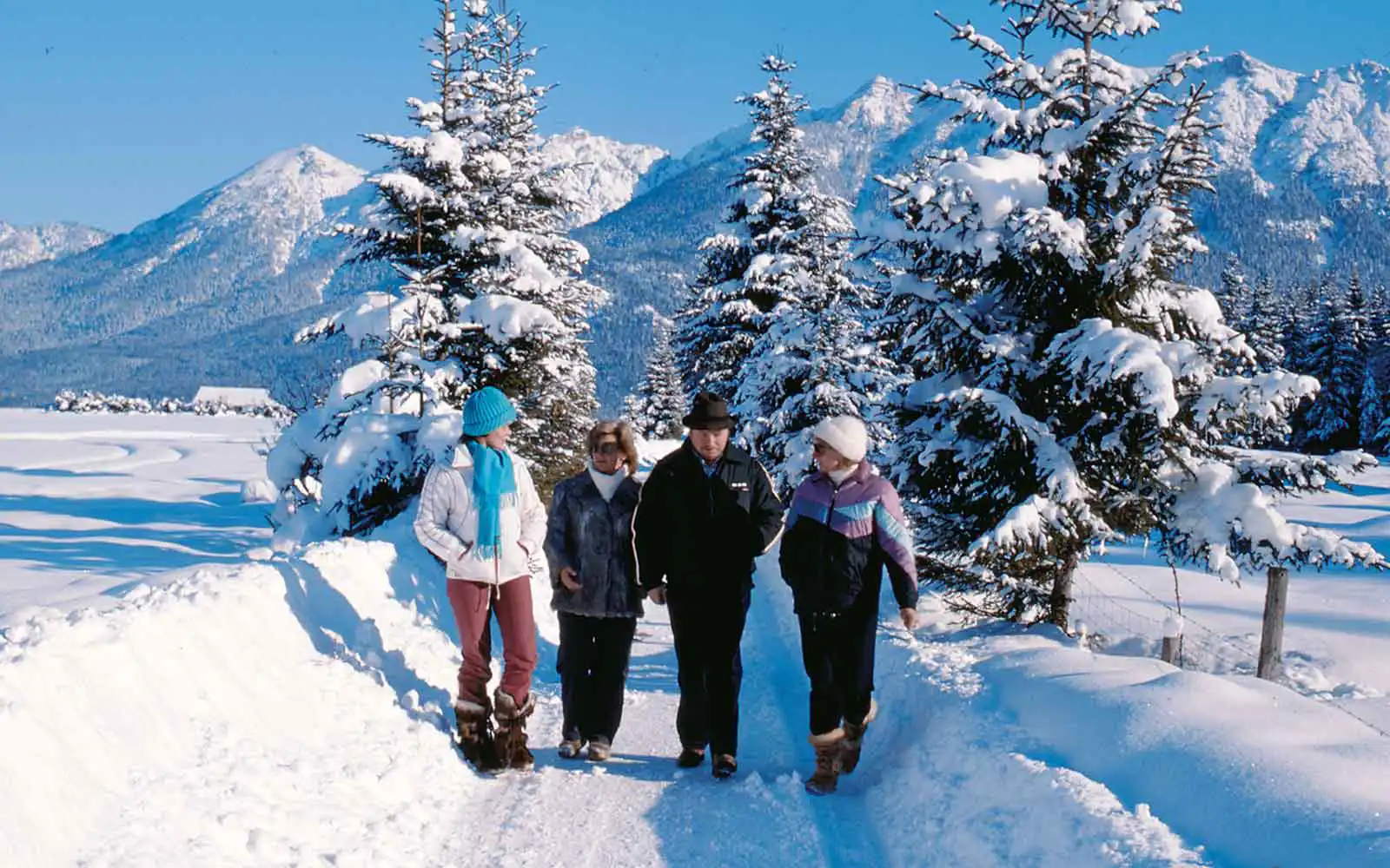 Vier Personen machen eine Winterwanderung